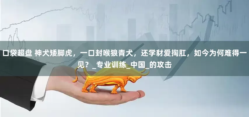 口袋超盘 神犬矮脚虎，一口封喉狼青犬，还学豺爱掏肛，如今为何难得一见？_专业训练_中国_的攻击