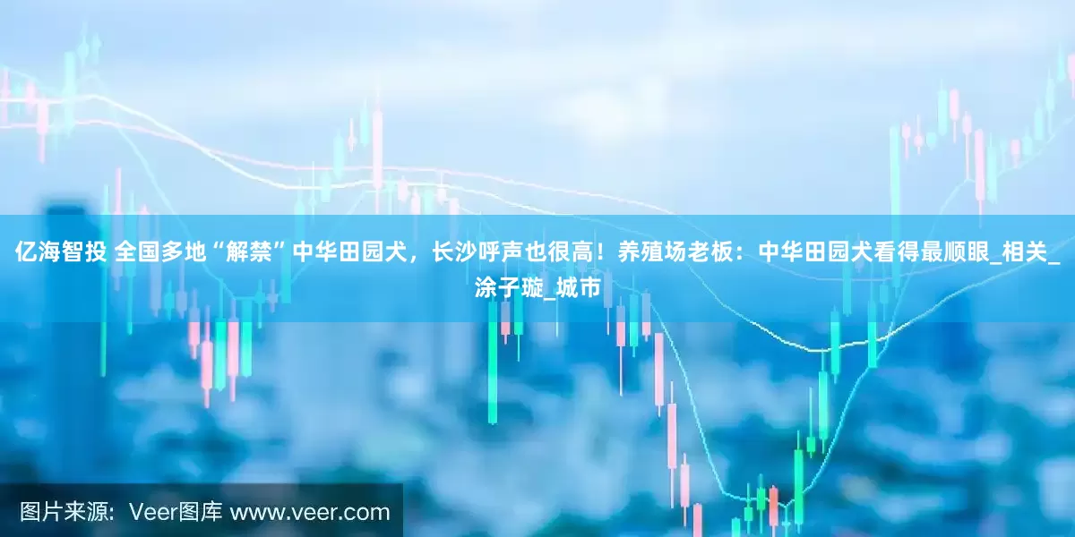 亿海智投 全国多地“解禁”中华田园犬，长沙呼声也很高！养殖场老板：中华田园犬看得最顺眼_相关_涂子璇_城市