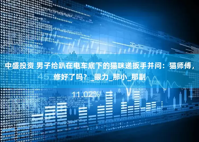 中盛投资 男子给趴在电车底下的猫咪递扳手并问：猫师傅，修好了吗？_眼力_那小_那副