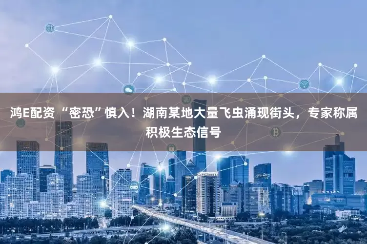 鸿E配资 “密恐”慎入！湖南某地大量飞虫涌现街头，专家称属积极生态信号