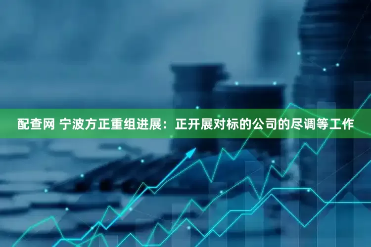 配查网 宁波方正重组进展：正开展对标的公司的尽调等工作