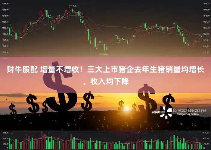 财牛股配 增量不增收！三大上市猪企去年生猪销量均增长、收入均下降