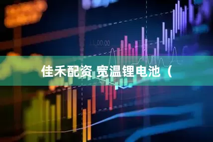 佳禾配资 宽温锂电池（